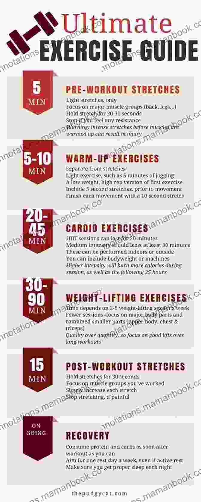 Visual Representation Of A Customized Exercise Plan, Outlining The Components Of A Well Rounded Workout Routine. Doctor S Guide To Healthy Living