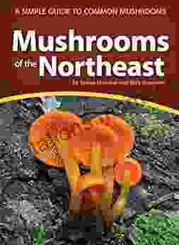 Mushrooms of the Northeast: A Simple Guide to Common Mushrooms (Mushroom Guides)