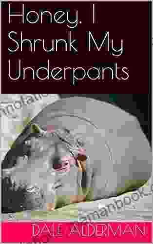 Honey I Shrunk My Underpants (Everyday Dad 7)