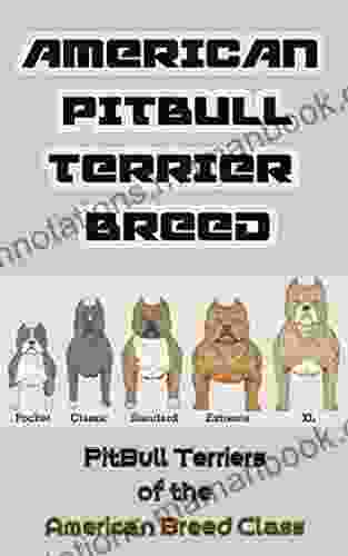 American Pit Bull Terrier Breed: Pit Bull Terriers of the American Breed Class