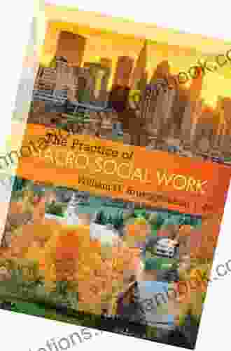 The Practice Of Macro Social Work