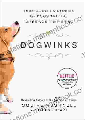 Dogwinks: True Godwink Stories of Dogs and the Blessings They Bring (The Godwink 6)